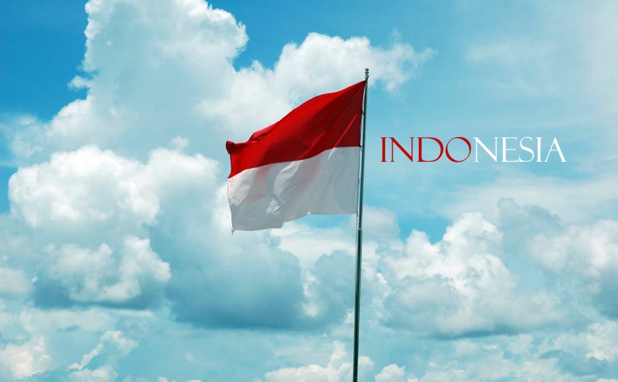 Posisi Tawar Bahasa Indonesia - Universitas Widyatama